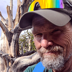 Stephen Bartholomew - Artist