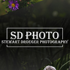 Stewart Droeger - Artist