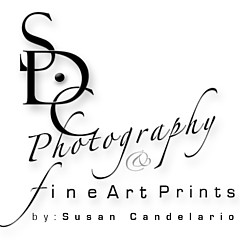 Susan Candelario - Artist