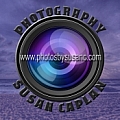 Susan Caplan - Artist