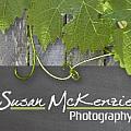 Susan McKenzie - Artist