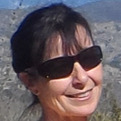 Susie Morrison - Artist