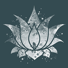 White Lotus - Artist