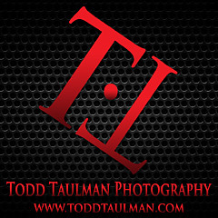 Todd Taulman - Artist