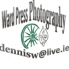 Ward Press Photography - Artist