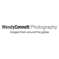 Wendy Connett - Artist