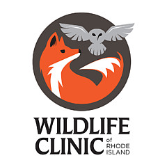 Wildlife Clinic Of Rhode Island - Artist