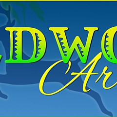 Wildwood Artistry - Artist