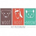 Woof Hoof and Meow Photography - Artist