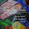 Zarya Parx Studio - Artist