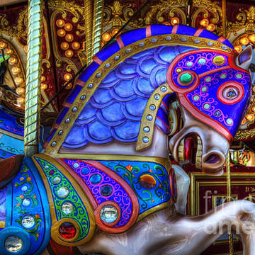  Carousels And Carousel Horses