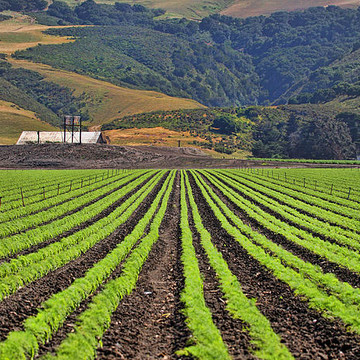 Agriculture and Farm Living Farming Farms Pastures y Agricultura Granjas Prados