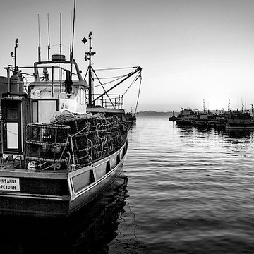 Black and White Harbour