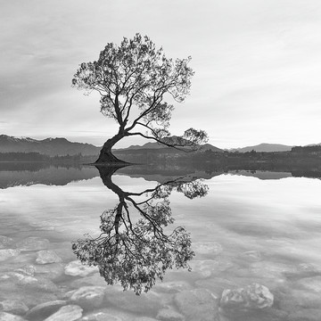 Black and White Landscapes