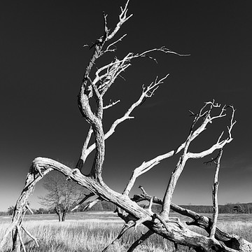 Black And White Landscapes