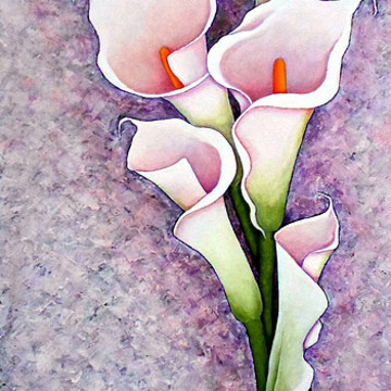 Callas lilies