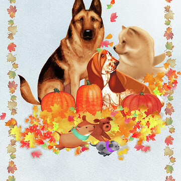 Celebrations Shop Collection