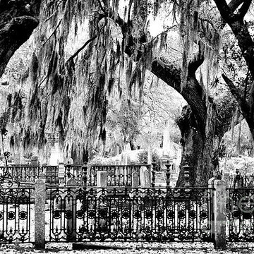 Charleston Magnolia Cemetery