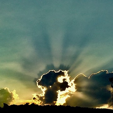 Clouds shaped like Animals People Angels and Other Creatures