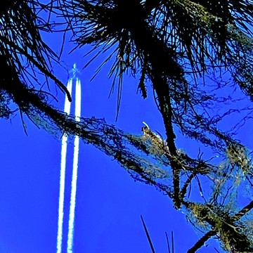 Contrails Jet Trails Smoke Trails