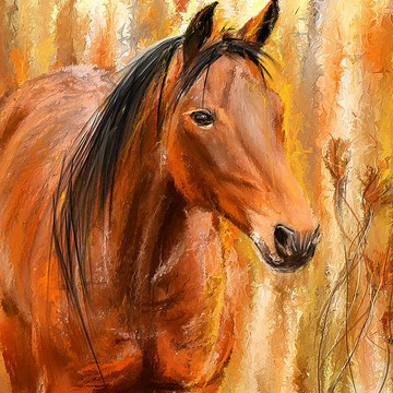Equine Fine Art Collection