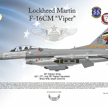 F-16 Fighting Falcon or Viper