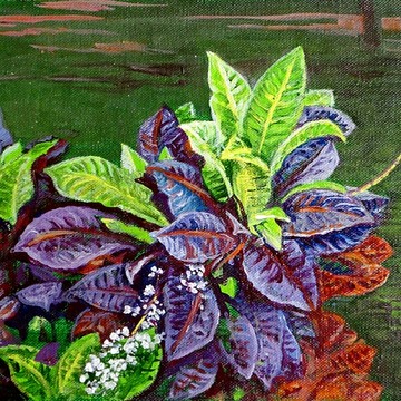 Floral - Paintings