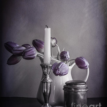 Flowers in Purple