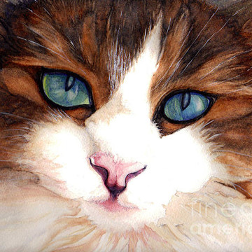 Furrry Friends - Watercolor Paintings of animals