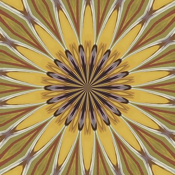 Generic Kaleidoscopes and Mandala Patterns