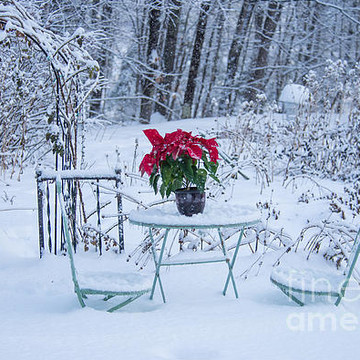 Holiday Art Photography Maine Scenes Gift Items