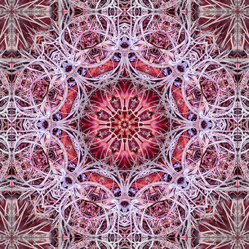 Kaleidoscopes Mandalas