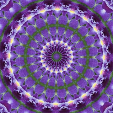Kaleidoscopes or Mandalas