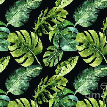 Leaves Flowers Nature Patterns Graphic Designs
