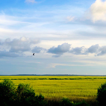 Marshes of Glynn County
