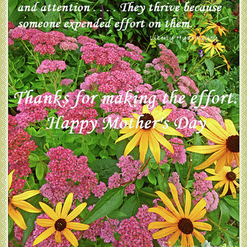 Mother's Day and Father's Day Cards