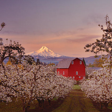 Mount Hood and Columbia River Gorge