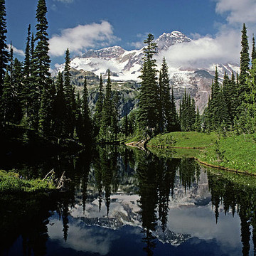 Mount Rainier Washington State