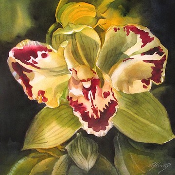 Orchid Paintings