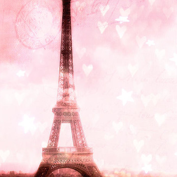Paris Pink Photographs