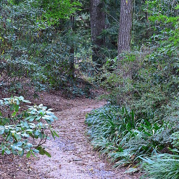 Paths Trails and Passageways