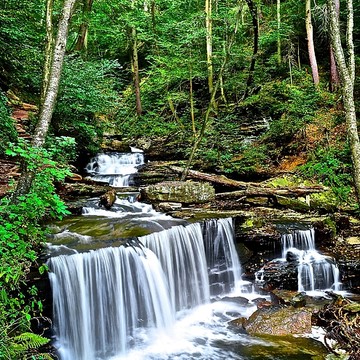 Ricketts Glen Waterfalls