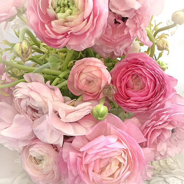Roses-Peonies-Shabby Chic Flower Prints