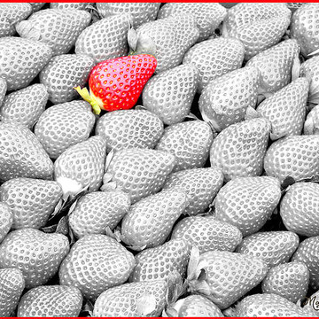 Selective Color