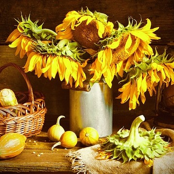 Still Life Photography & Photo-Paintings
