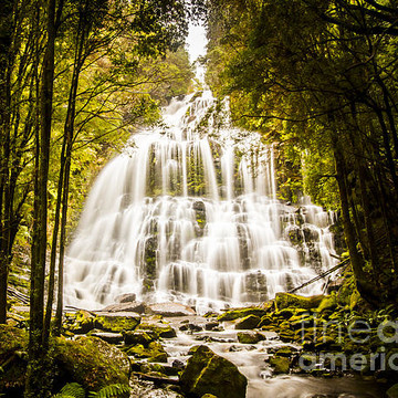 Places - Tasmania Art