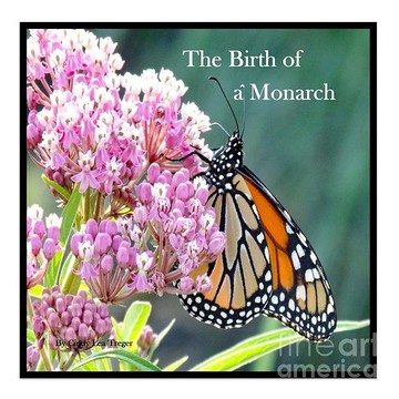 The Birth Of A Monarch - Book