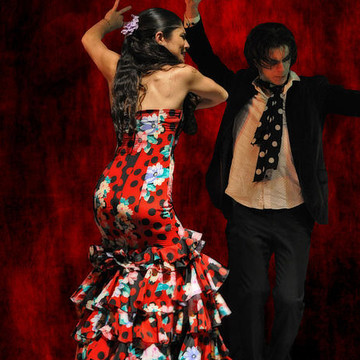 The Flamenco Series