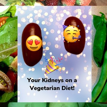 The Kidney Dialogues where kidneys have a voice