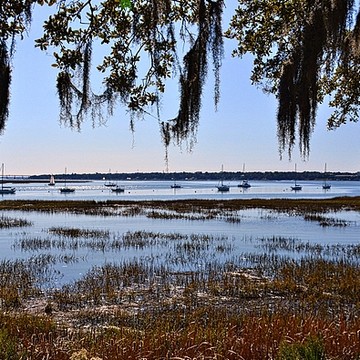 The Low Country South Carolina